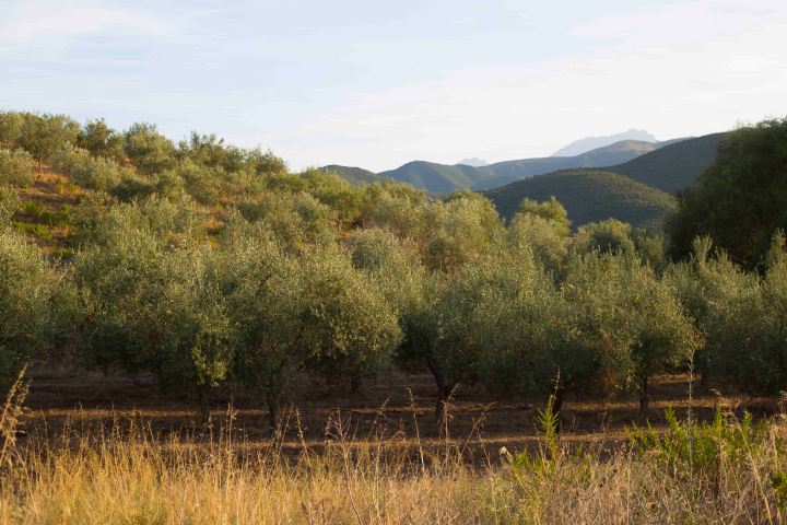 9B6A0233.JPG