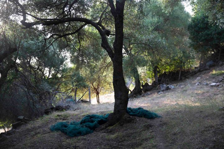9B6A0541.JPG