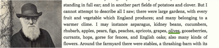 capture d_écran 2019-01-29 à 10.07.49