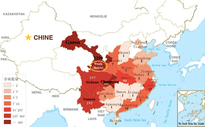Carte de Chine OLIVES
